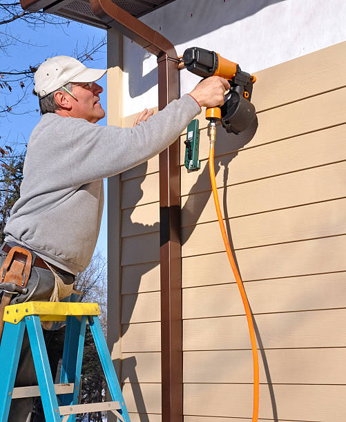 Affordable Siding Repair and Maintenance Services in Venetian Village, IL